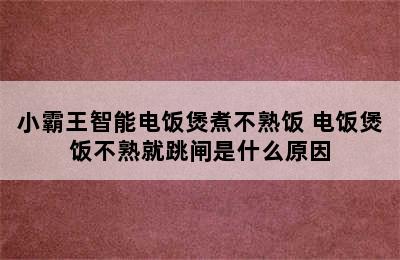 小霸王智能电饭煲煮不熟饭 电饭煲饭不熟就跳闸是什么原因